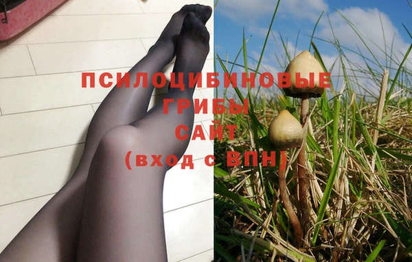 прущий лед Елизово