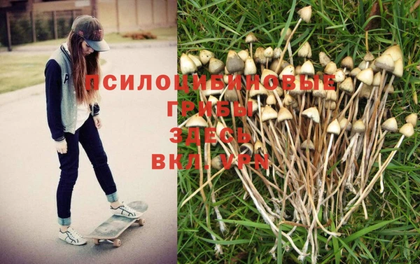 мескалин Елабуга