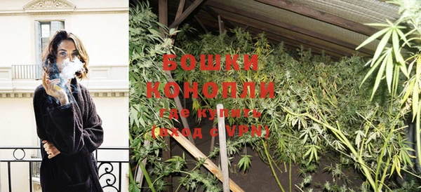 Альфа ПВП Ельня