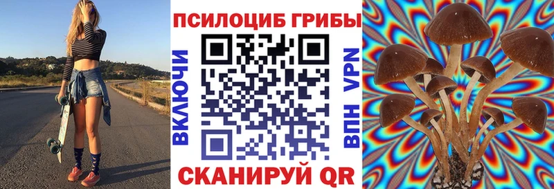 Галлюциногенные грибы ЛСД  Купить закладки  Грязи 